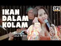 Download Lagu IKAN DALAM KOLAM - HUSEIN BAWAFIE | 3PEMUDA BERBAHAYA FEAT LALA WIDY COVER