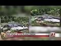 Pilot dead after Nash County plane crash