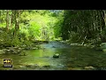 Download Lagu 4K  自然環境音 / 湧き水が流れる川の音  鳥のさえずり　birds chirping