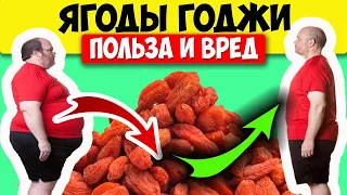ЯГОДЫ ГОДЖИ ПОЛЬЗА и ВРЕД Полезные свойства и противопоказания эффект ЖИРОСЖИГАНИЯ а также 