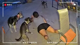 The Most Hilarious Fails Caught on Camera