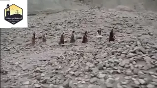 ترنيمه مختصر الكلام 