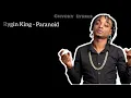 Rygin King - Paranoid (Chvcky Lyrics)