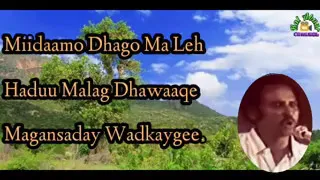 Heestii Miidaamo Dhago Ma Leh A Mooge Lyrics 