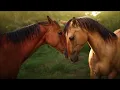 Wanda Conklin - Easy To Say (But So Hard To Do)