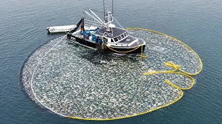 Catching THOUSANDS of fish in my brand new lobster boat