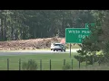 Tree cutting on I-20 Kershaw Richland county line
