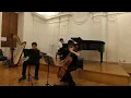 🎶🌍 Joseph Haydn: Piano Trio in G Major, Hob. XV:25, I. Andante | Andrew, Ron & Yang🌍🎶