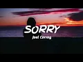 Joel Corry - Sorry | Audio World | Audio Song