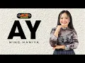 Lagu AY - NING HANIYA - ACS PRO AUDIO