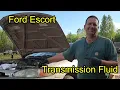 3rd Generation Ford Escort F 4EAT Transmission Fluid and Filter Change