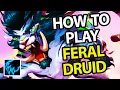 Feral Druid Rotation Guide for Mythic 11 1 WoW The War Within