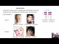 Patterns of Inheritance Chapter 10 Part 1 BI 114