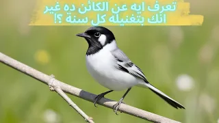 تعرف ايه عن ابو الفصاد غير انه في اغنية عيد ميلادك دندنها