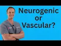 Download Lagu Difference Between Neurogenic versus Vascular Claudication (Spinal Stenosis Tests)