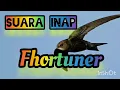 Download Lagu SUARA INAP FHORTUNER