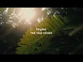 forgive - red clay strays lyric