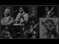 Muddy Waters - I'm A King Bee