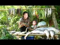 Download Lagu Fish Pond Harvesting Process: Nhi and Single mom Harvest fish pond to sell at the market