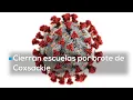 Download Lagu Virus Coxsackie detiene clases en Baja California | Escuelas realizarán jornada de limpieza