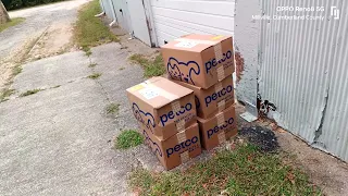 Petco cannot seem to deliver packages properly by choosing cheap delivery at customer s expense