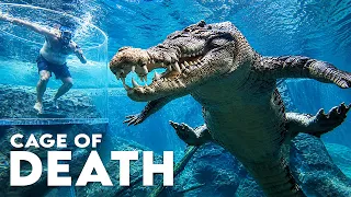 CAGE OF DEATH - Swimming With Crocodiles in Australia