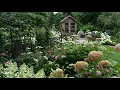 Download Lagu Weekly Garden Tour! Ideas for a Beautiful Landscape from My Backyard Flower Garden🌸