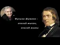 Download Lagu М. Казиник. Музыка Шумана