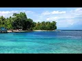 Download Lagu Nieuw Guinea Blues