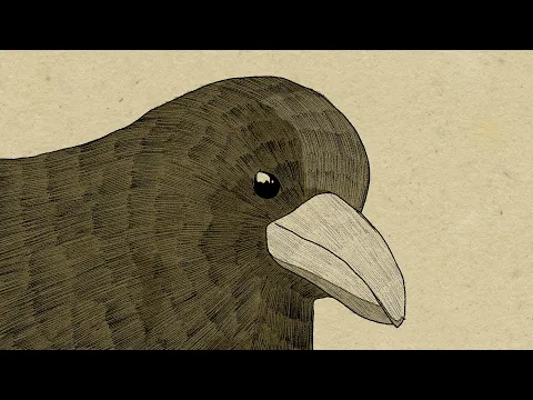 寄生虫と私