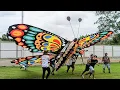 Download Lagu Kite Flying Competition @ Anilag 2025 #anilag2025 #lovelaguna #kiteflying