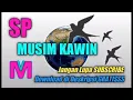 Download Lagu Suara Panggil Walet Musim Kawin