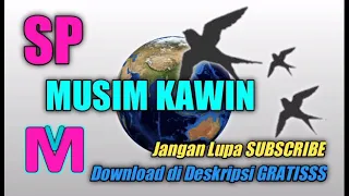 Download Suara Panggil Walet Musim Kawin MP3