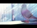 Download Lagu Girls Band Cry - A pigeon producing an absolute banger