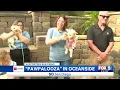 Frontwave Pawpalooza Pet Adoption Event 2026 - Fox5 Morning News