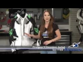 Adventure Touring Jacket Favorites for 2016 | Motorcycle Superstore