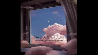 حالات واتس اب قران اية قرانية قصيرة لراحة قلبك ستوريات انستا Quran 