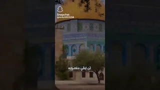  اصاله نصري يا مسرى الرسول  احداث غزه  فلسطين    دندنها