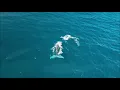 Kaz James - Sun Is Shining