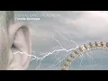 Download Lagu Forgas Band Phenomena - Délice Karma / Karmic Delights [radio edit] (Official Audio)