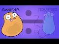 Mitosis (UPDATED 2026)