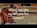 Synonyms for Crazy with pronunciation