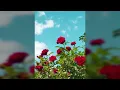 Download Lagu yu yu hakusho - romantic theme [remake by fss slowed + reverb]