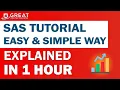 SAS Tutorial Explained Simply in 1 Hour SAS Programming