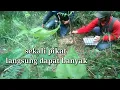 Download Lagu Cara Memikat burung cucak kopi sekali pikat langsung dapat banyak