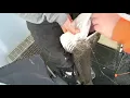 WHEN PIKE BITE BACK DON T DO THIS WHILE FISHING