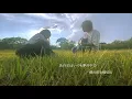 あの子はベランダを飛び降りて 男女が歌う ラブソング - 上野大樹  (RiMy × TOKUMIX full cover ) 弾き語りver.