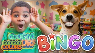 BINGO Song! Sing Along + More Nursery Rhymes & Kids Songs