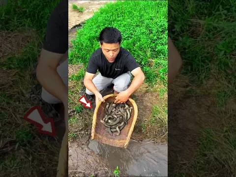 ড্রেন দিয়ে হুলহুল করে একি গড়িয়ে আসলো 🐟amazing fishing catching ideas #shorts