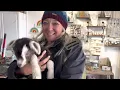 Things to do in Fairplay Colorado
